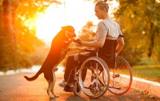 6 Tips For Coping With Daily Wheelchair Use