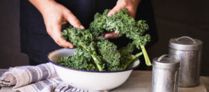 Foods for Memory and Brain Health